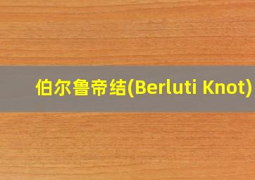 伯尔鲁帝结(Berluti Knot)